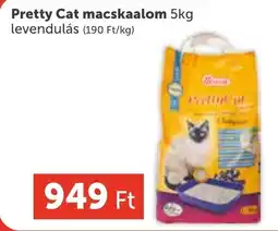 PRIVÁT Pretty Cat macskaalom ajánlat