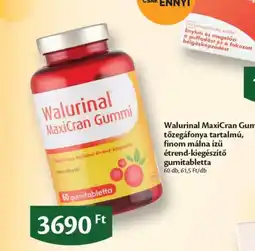 EcoFamily Walurinal maxicran gumi ajánlat