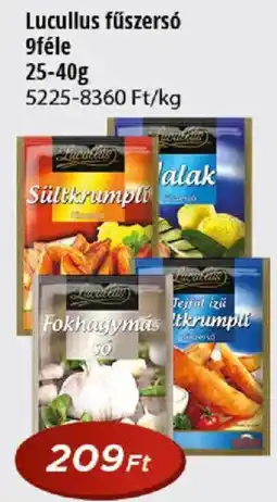 Real Lucullus fűszerszó ajánlat
