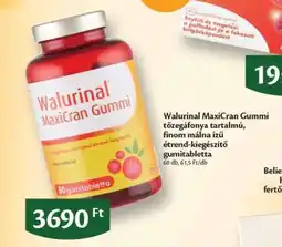 EcoFamily Walurinal MaxiCran Gummi ajánlat