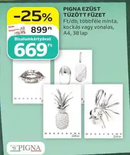 Auchan PIGNA EZÜST TŰZÖTT FÜZET ajánlat