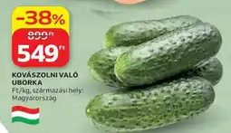Auchan Kovászolni való uborka ajánlat