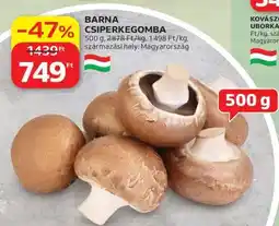 Auchan Barna csiperkegomba ajánlat