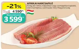 Auchan Afrikai Harcsafilé ajánlat