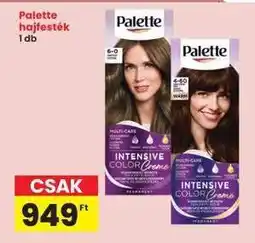Interspar Palette Hajfesték ajánlat