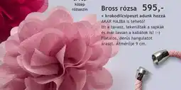 Betly Bross rózsa ajánlat