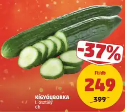 PENNY Kígyóuborka ajánlat