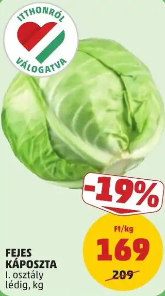 Fejes káposzta
