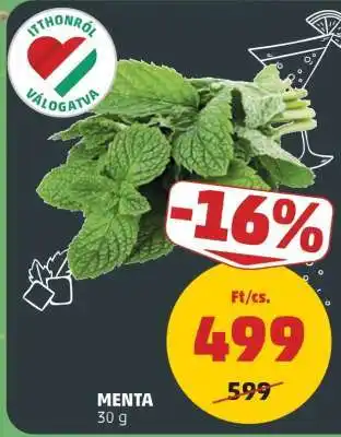 MENTA