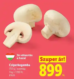 Lidl Csiperkegomba ajánlat