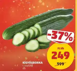 PENNY Kígyóuborka ajánlat