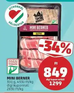 PENNY MINI BERNER ajánlat