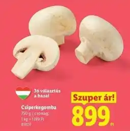 Lidl Csiperkegomba ajánlat