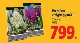 Lidl Prémium virághagymák ajánlat