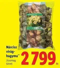 Lidl Nárcisz virághagyma ajánlat