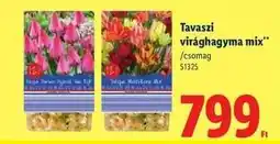 Lidl Tavaszi virághagyma mix ajánlat
