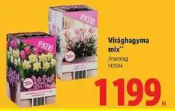 Lidl Virághagyma mix ajánlat