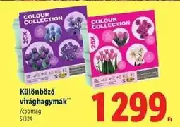 Lidl Különböző virághagymák ajánlat