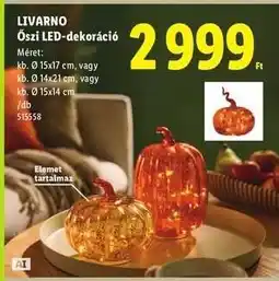 Lidl LIVARNO Őszi LED-dekoráció ajánlat