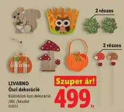 Lidl LIVARNO Őszi dekoráció ajánlat