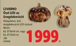 Lidl LIVARNO Őszi LED-es üvegdekoráció ajánlat