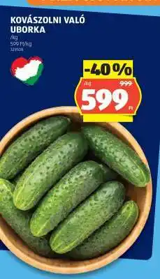 ALDI Kovászolni való uborka ajánlat