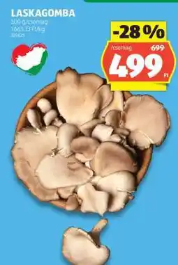 ALDI Laskagomba ajánlat