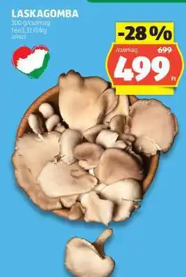 ALDI Laskagomba ajánlat