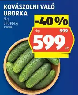 ALDI Kovászolni való uborka ajánlat