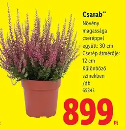 Lidl Csarab ajánlat