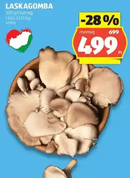 ALDI Laskagomba ajánlat