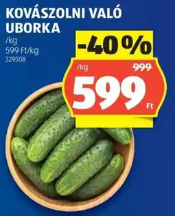 ALDI Kovászolni való uborka ajánlat