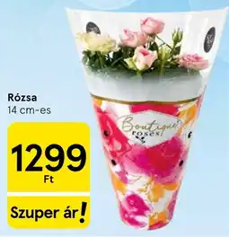 Tesco Boutique roses ajánlat