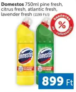 PRIVÁT Domestos ajánlat