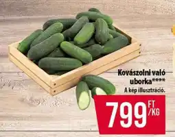 Coop Kovászolni való uborka ajánlat