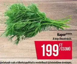 Coop Kapor ajánlat