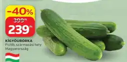 Auchan Kígyóuborka ajánlat
