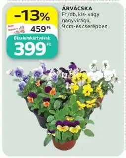 Auchan Árvácska ajánlat