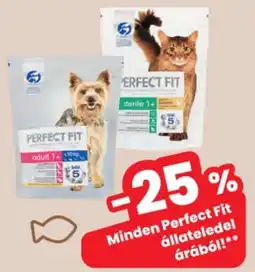 Interspar Perfect Fit ajánlat