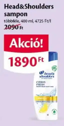 EcoFamily head & shoulders sampon ajánlat