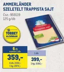 Metro Ammerländer sajt ajánlat