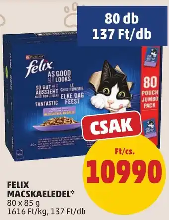 Felix macskaeledel