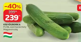 Kígyóuborka