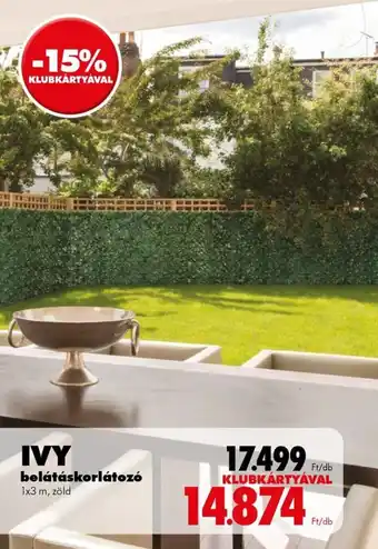 Diego Ivy belátáskorlátozó ajánlat