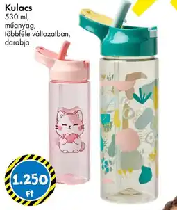 Tedi Kulacs ajánlat