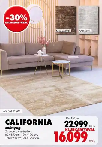 Diego California szőnyeg ajánlat
