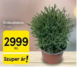 Tesco Örökzöldmix ajánlat