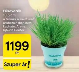 Tesco Fűkeverék ajánlat