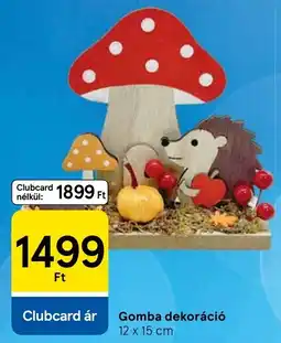 Tesco Gomba dekoráció ajánlat