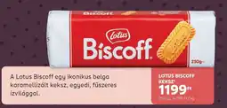 Rossmann LOTUS BISCOFF KEKSZ ajánlat